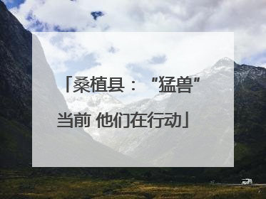 桑植县：“猛兽”当前 他们在行动